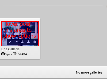 ../../_images/gallery-options.png